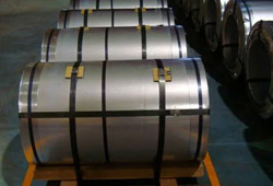 No.4 Finish 310S Coil No.4 Finish 310S Coil